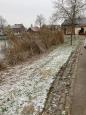 Snoeien riet 1.jpg
