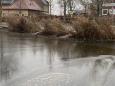Snoeien riet 2.jpg