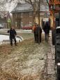 Snoeien riet 5.jpg