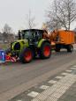 Snoeien riet 6.jpg