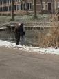 Snoeien riet 7.jpg
