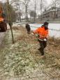 Snoeien riet 10.jpg