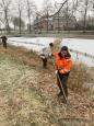 Snoeien riet 11.jpg