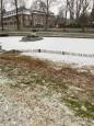 Snoeien riet 14.jpg