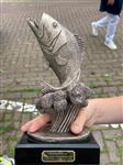 Workshop&viswedstrijd jeugd 26/9/2021